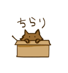 茶ねこの生態（個別スタンプ：16）