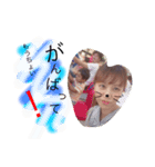 love love.6（個別スタンプ：3）