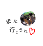 love love.6（個別スタンプ：4）