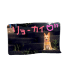 虎鉄20140814（個別スタンプ：6）