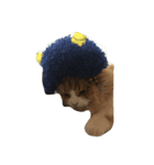 猫だち（個別スタンプ：4）