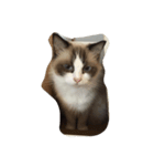 猫だち（個別スタンプ：6）