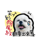 豆腐の日常生活（個別スタンプ：2）