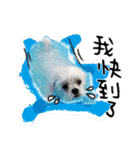 豆腐の日常生活（個別スタンプ：3）