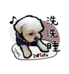 豆腐の日常生活（個別スタンプ：6）