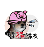 豆腐の日常生活（個別スタンプ：7）