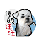 豆腐の日常生活（個別スタンプ：10）