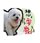 豆腐の日常生活（個別スタンプ：12）