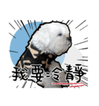 豆腐の日常生活（個別スタンプ：13）