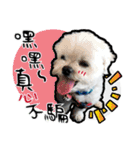 豆腐の日常生活（個別スタンプ：14）
