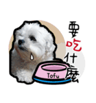 豆腐の日常生活（個別スタンプ：16）
