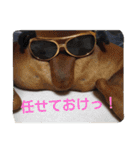boxers（個別スタンプ：9）