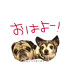 ひとんさんのスタンプ（個別スタンプ：13）