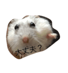 ハムスターチッチ(1)（個別スタンプ：4）