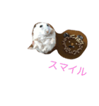 ハムスターチッチ(1)（個別スタンプ：21）