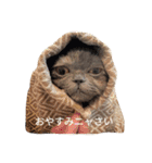 こまめタイム ～日常～（個別スタンプ：6）