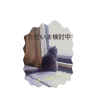 こまめタイム ～日常～（個別スタンプ：10）