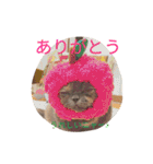 こまめタイム ～日常～（個別スタンプ：12）