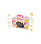 こまめタイム ～日常～（個別スタンプ：18）