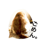 ふきだし ねこ ねこ（個別スタンプ：7）
