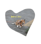 はにーちゃん♡（個別スタンプ：2）
