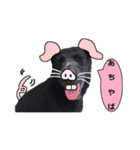 黒ラブ似くーちゃん3（個別スタンプ：11）