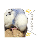 マヨとポポと時々れちこ☆1（個別スタンプ：8）