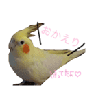 マヨとポポと時々れちこ☆1（個別スタンプ：16）