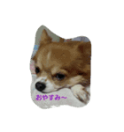 sarasayu（個別スタンプ：7）