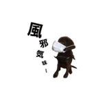 chocolove Chocochan（個別スタンプ：25）