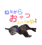 chocolove Chocochan（個別スタンプ：29）