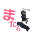 chocolove Chocochan（個別スタンプ：32）