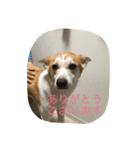 すみれの気持ち（個別スタンプ：6）