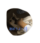 すみれの気持ち（個別スタンプ：9）