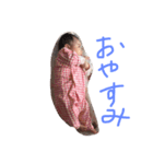 あかりたん07（個別スタンプ：3）