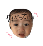 樹すたんぷ（個別スタンプ：11）
