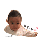 樹すたんぷ（個別スタンプ：17）