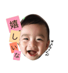 樹すたんぷ（個別スタンプ：21）