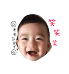 樹すたんぷ（個別スタンプ：30）