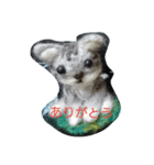 ありふれた言葉2（個別スタンプ：1）