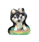ありふれた言葉2（個別スタンプ：9）