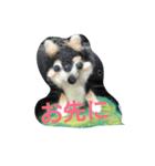 ありふれた言葉2（個別スタンプ：15）