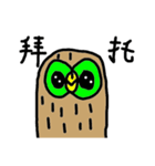 Kiwi owl（個別スタンプ：6）