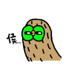 Kiwi owl（個別スタンプ：22）