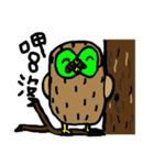 Kiwi owl（個別スタンプ：24）