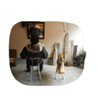 my dog TORO（個別スタンプ：6）