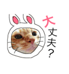 たいごんのきままな日々✯PART1（個別スタンプ：6）