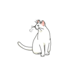 ながらオトモの白い猫トゥーン（個別スタンプ：14）
