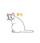 ながらオトモの白い猫トゥーン（個別スタンプ：28）