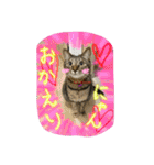 可愛いにゃんこ写真スタンプ～2～（個別スタンプ：4）